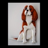 Cavalier King Charles