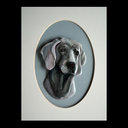 Weimaraner